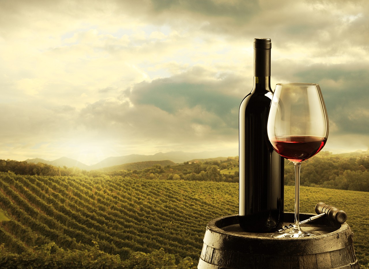 Los vinos de Castilla-La Mancha se presentan en India