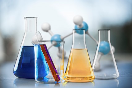 Jornada sobre gestión de productos químicos en India