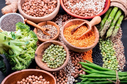 Webinario: “El mercado de la proteína vegetal en India”